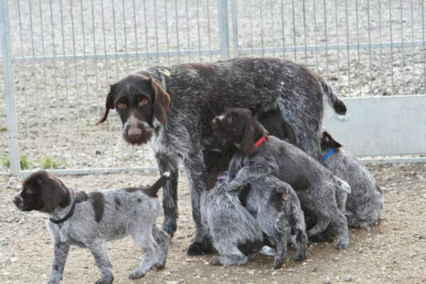 i286541539249859004._msw565h424