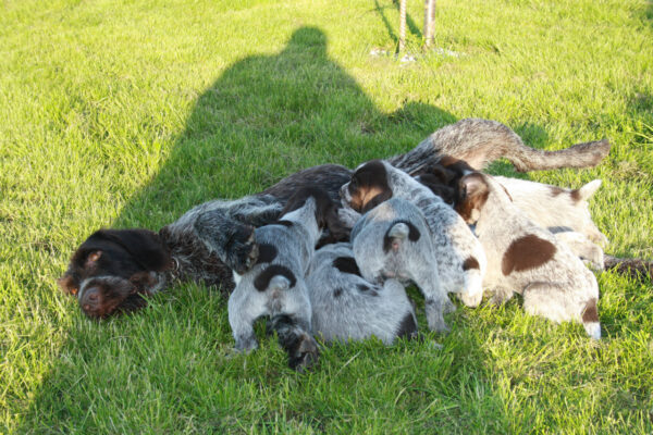 i286541539257186152._msw565h424