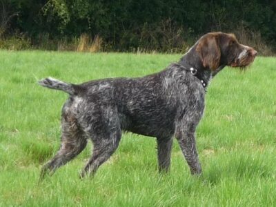 i286541539257186769._msw270h202