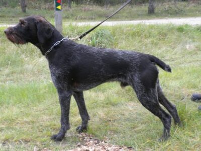 i286541539257188958._msw270h202