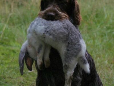 i286541539257200579._msw270h202