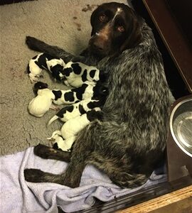 i286541539321731574._szw270h3500_