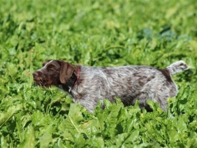 i286541539345011197._msw270h202