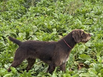 i286541539360887608 (3)